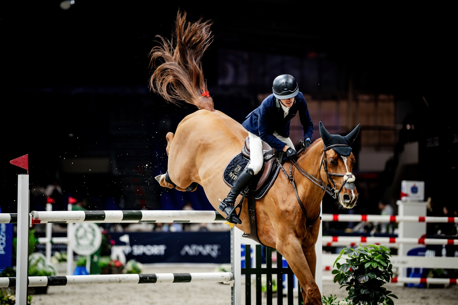 Eq Equishop-na-Cavaliada-Poznań (3)